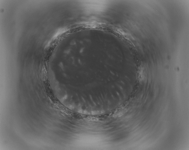 X0000088591446200706081316