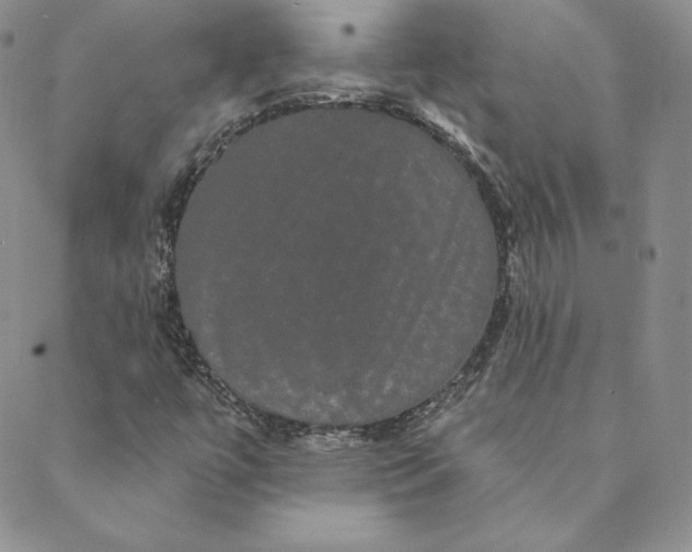 X0000088591447200706081316