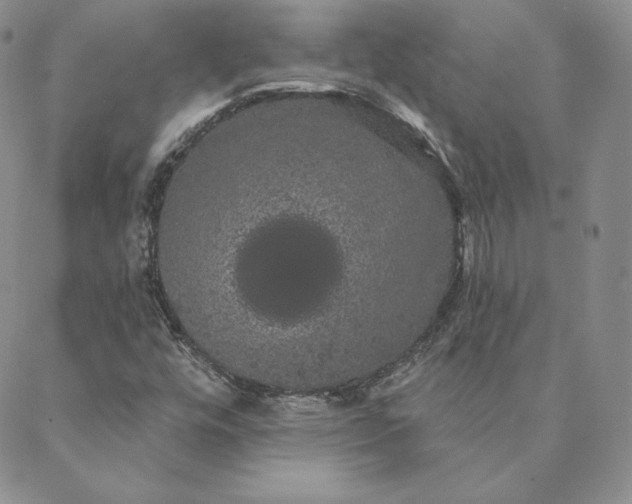 X0000088591448200706081316