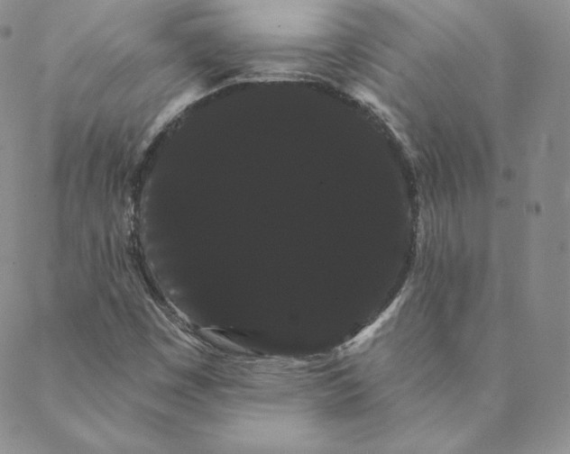 X0000088591449200706081316