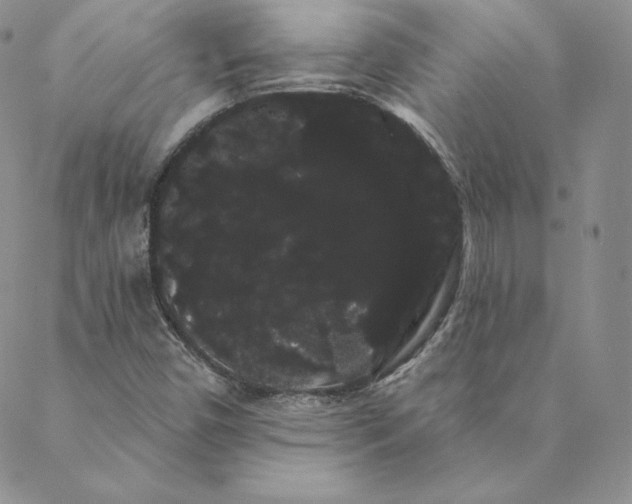 X0000088591450200706081316