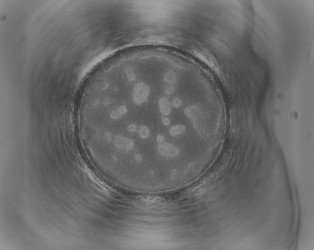 X0000088591452200706081316