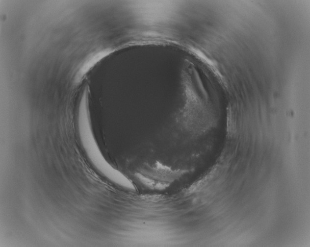 X0000088591453200706081316