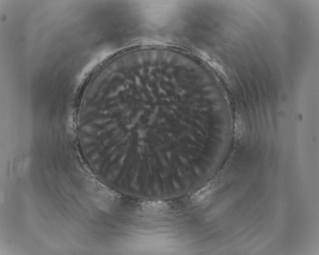 X0000088591454200706081316