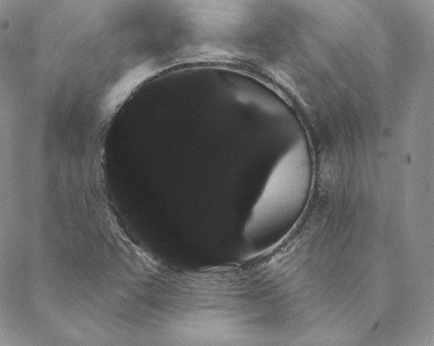 X0000088591455200706081316