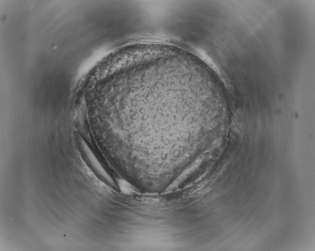 X0000088591456200706081316