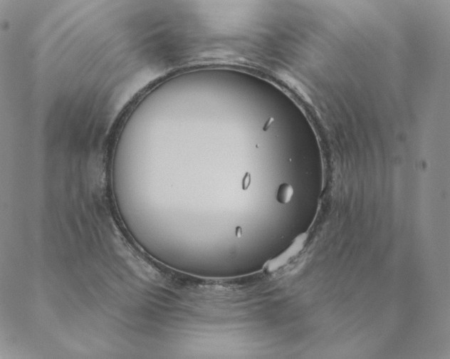 X0000088591458200706081316