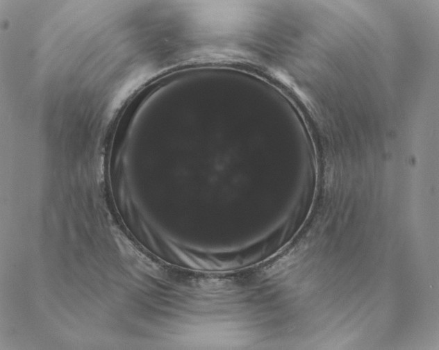 X0000088591459200706081316