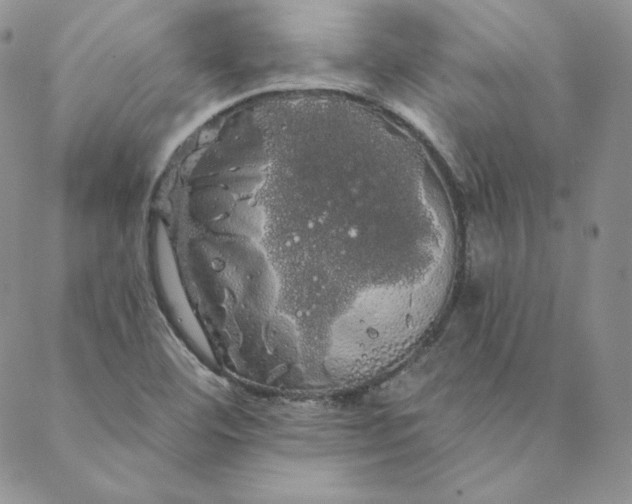 X0000088591460200706081316