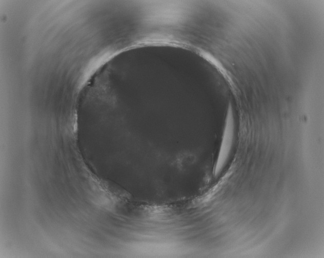 X0000088591461200706081316