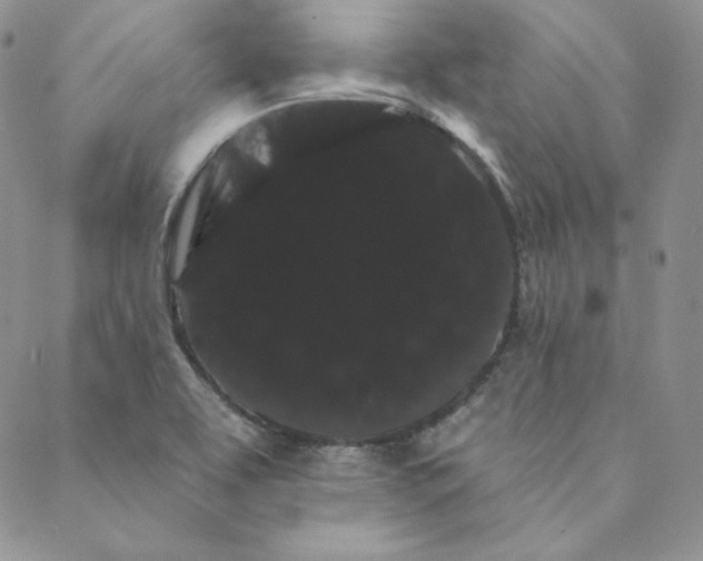 X0000088591463200706081316