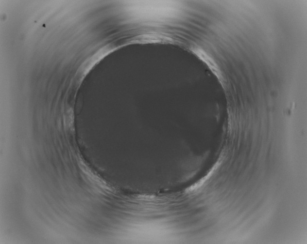 X0000088591465200706081316