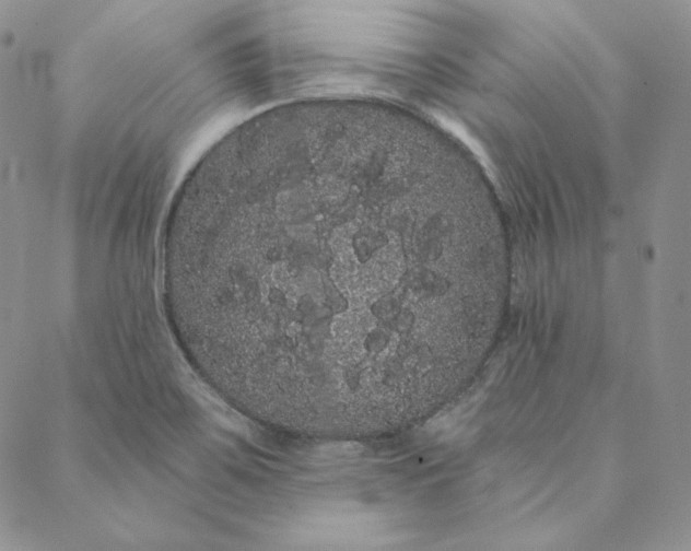 X0000088591467200706081316