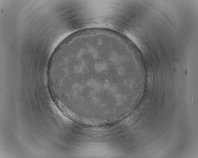 X0000088591468200706081316