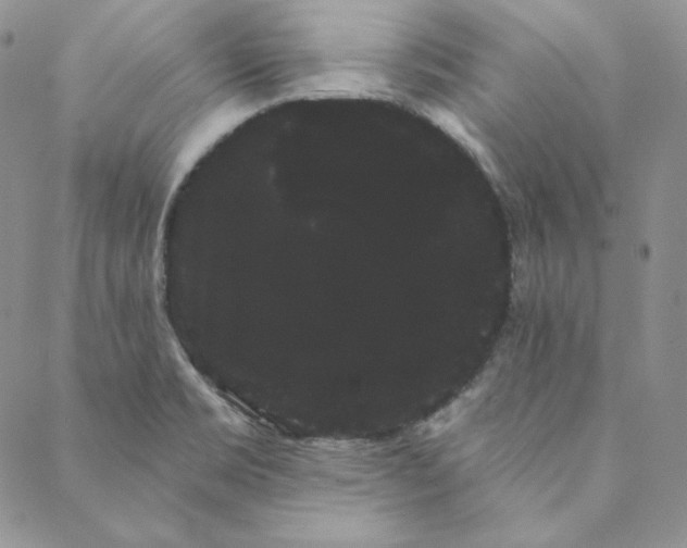 X0000088591469200706081316