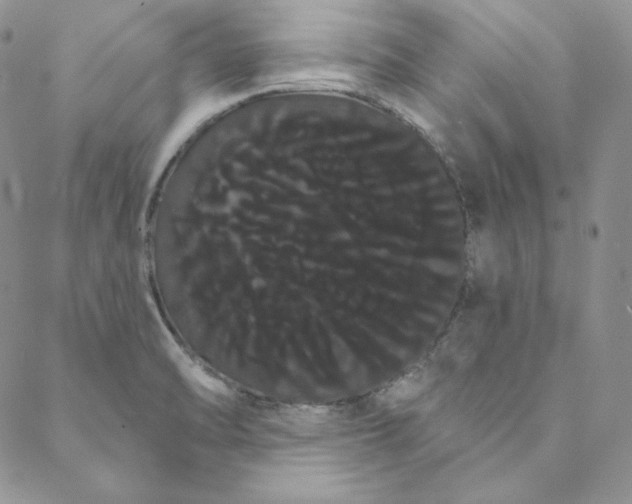 X0000088591470200706081316