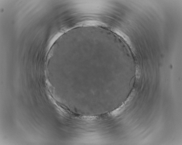 X0000088591473200706081315