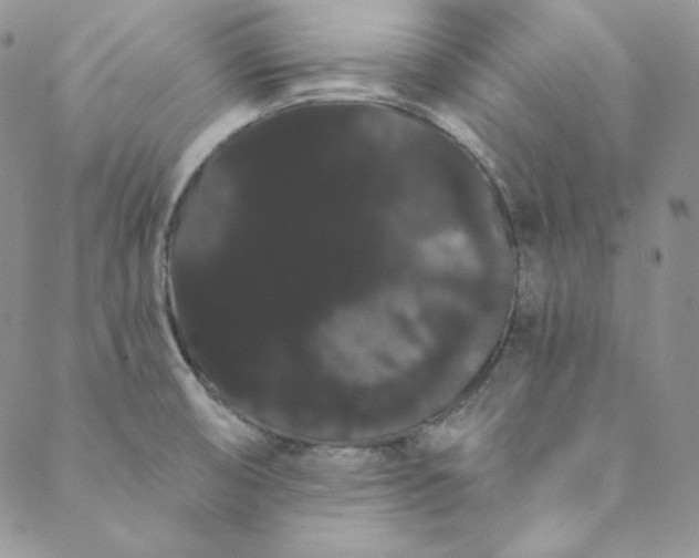 X0000088591474200706081315