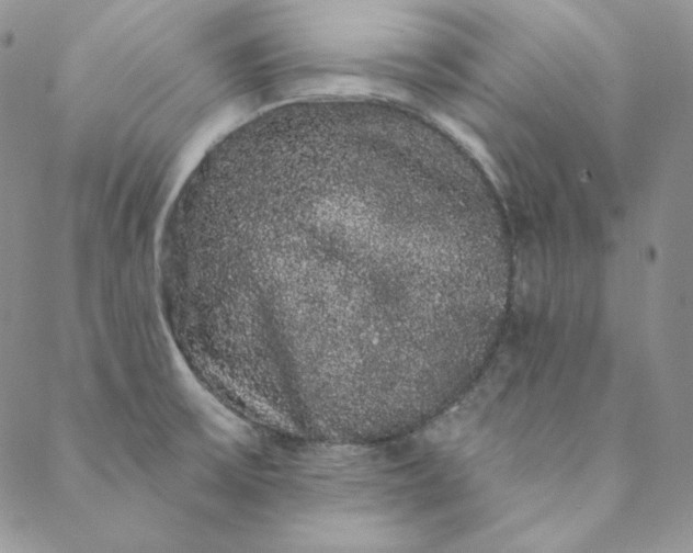 X0000088591475200706081315