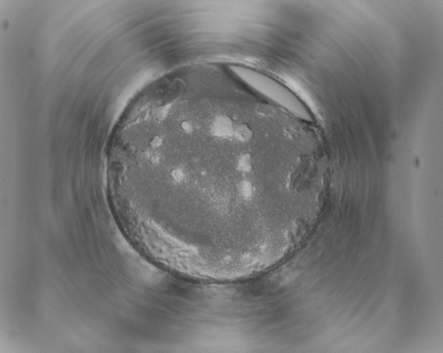 X0000088591476200706081315