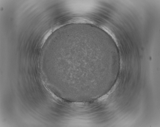 X0000088591481200706081315