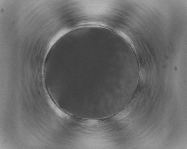 X0000088591482200706081315