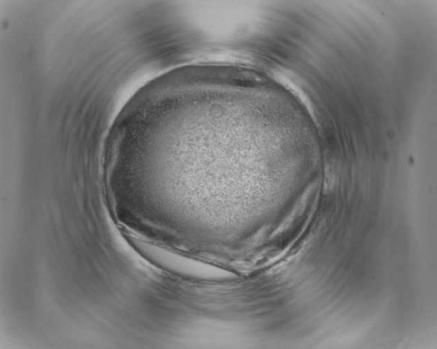 X0000088591483200706081315