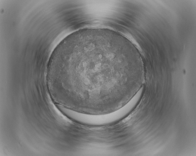 X0000088591484200706081315