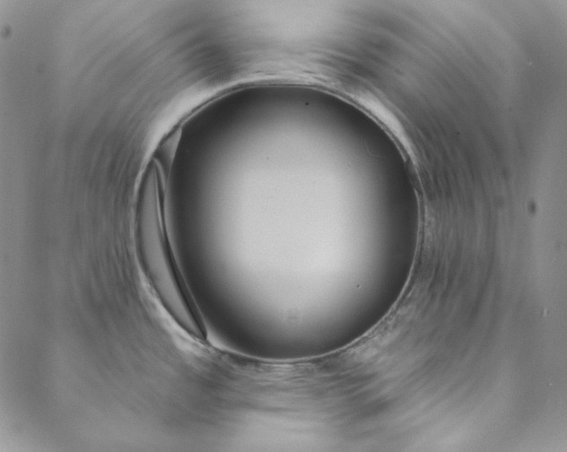 X0000088591485200706081315