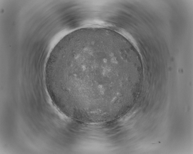 X0000088591488200706081315