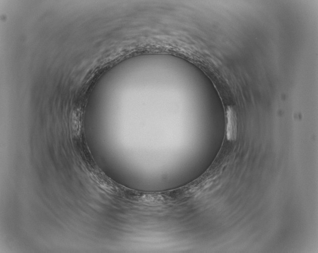 X0000088591491200706081314