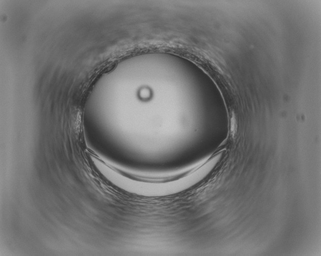 X0000088591492200706081314