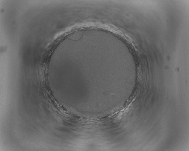 X0000088591494200706081315