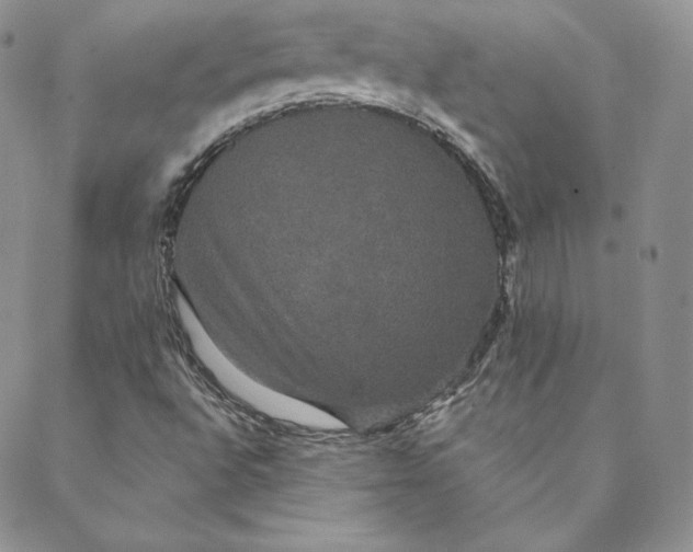 X0000088591496200706081315