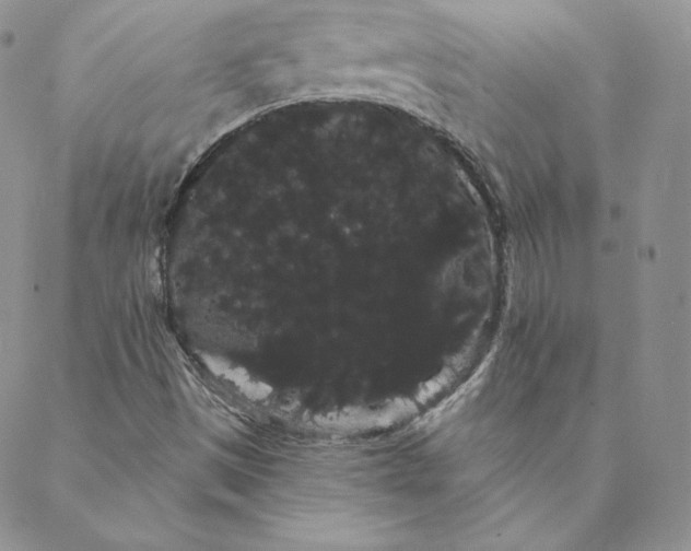 X0000088591497200706081315