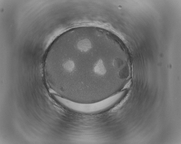 X0000088591501200706081315