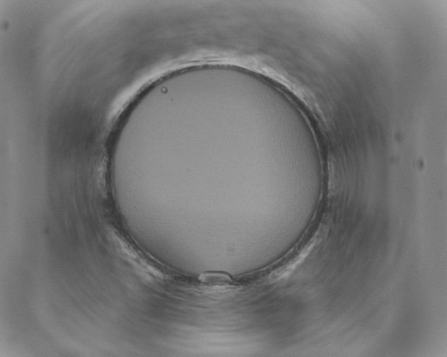 X0000088591502200706081315