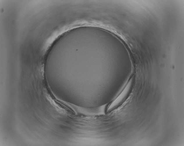 X0000088591503200706081315