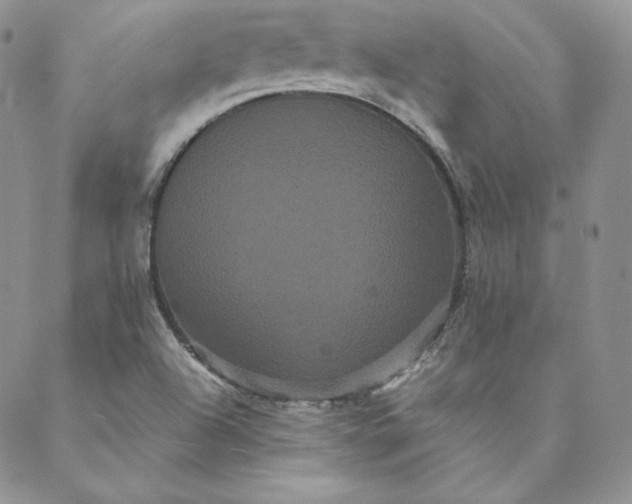 X0000088591504200706081315