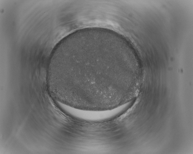 X0000088591505200706081315