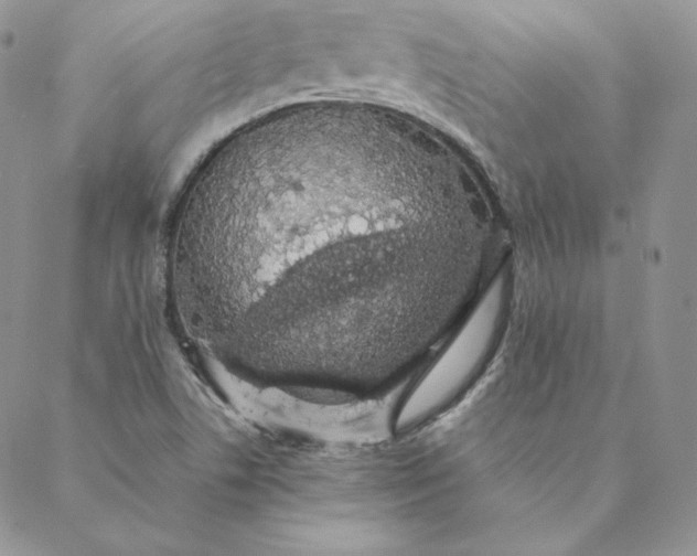 X0000088591506200706081315