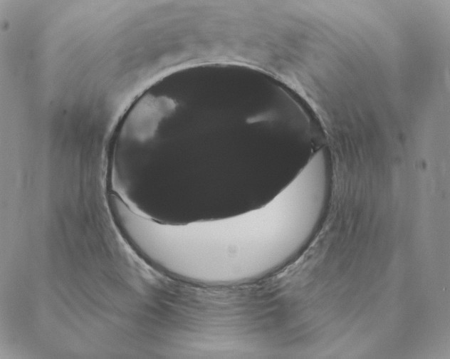 X0000088591508200706081315