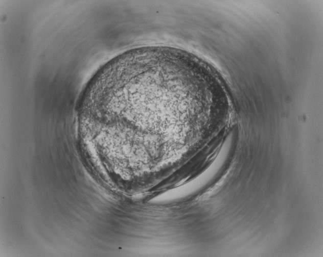 X0000088591509200706081315