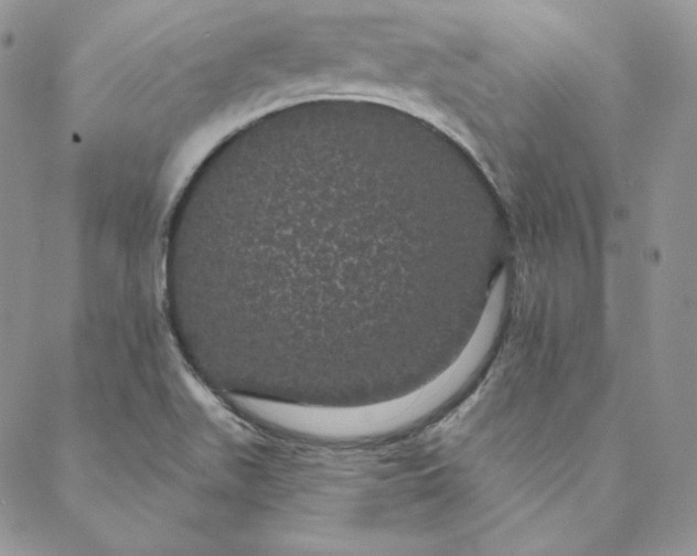 X0000088591511200706081315