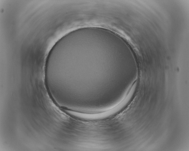 X0000088591512200706081315