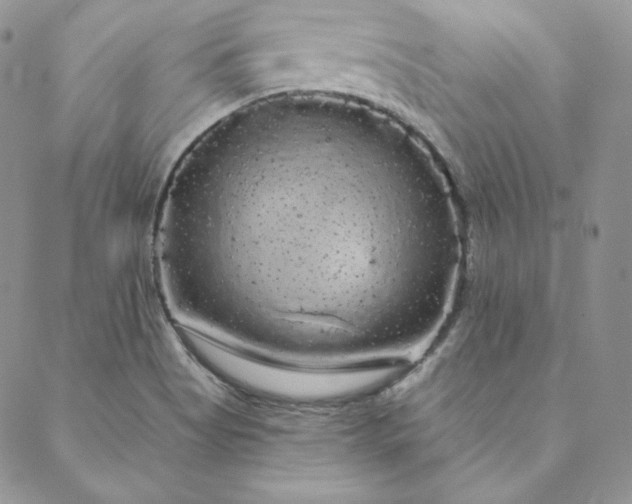 X0000088591513200706081315