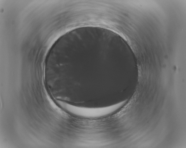 X0000088591515200706081315