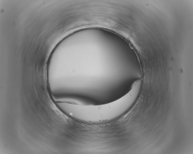 X0000088591516200706081315