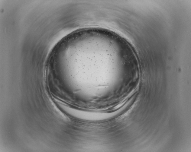 X0000088591517200706081315