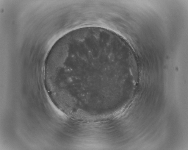 X0000088591519200706081315